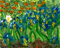 Iris Garden